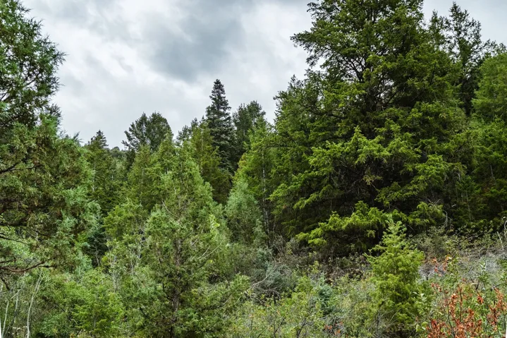 3716 E Chokecherry Ln, Kamas, Utah 84036