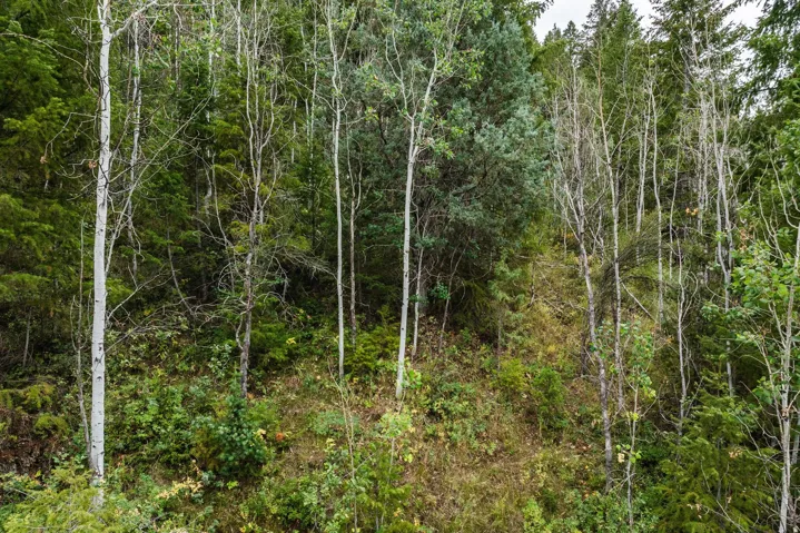 3716 E Chokecherry Ln, Kamas, Utah 84036