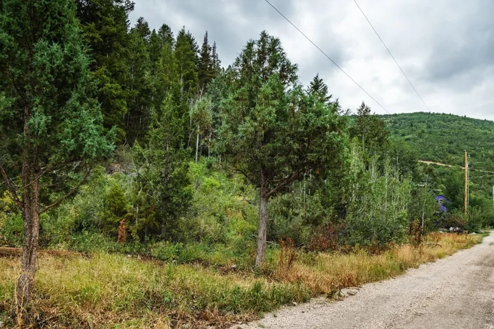 3716 E Chokecherry Ln, Kamas, Utah 84036