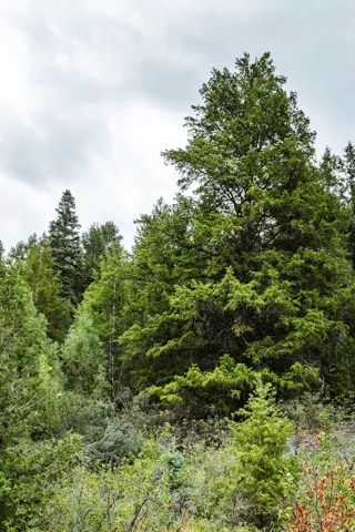 3716 E Chokecherry Ln, Kamas, Utah 84036
