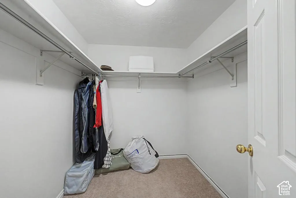 Walk-in closet featuring carpet flooring and white walls