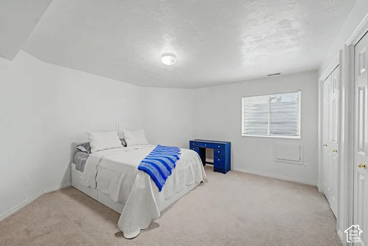 Carpeted flooring, white painted walls, ceiling-mounted light fixture.