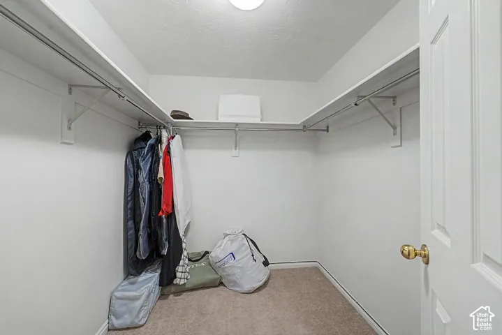 Walk-in closet featuring carpet flooring and white walls