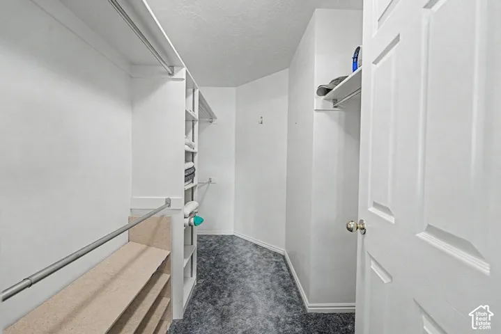 Walk-in closet featuring built-in shelving.
