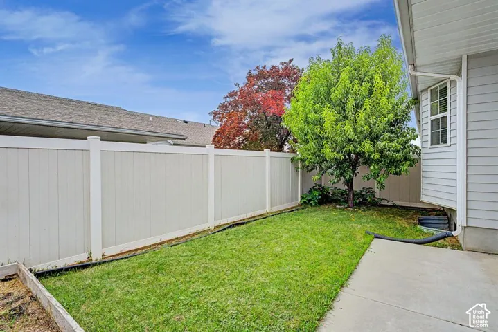 Green lawn space with a privacy fence, mature tree, and concrete patio