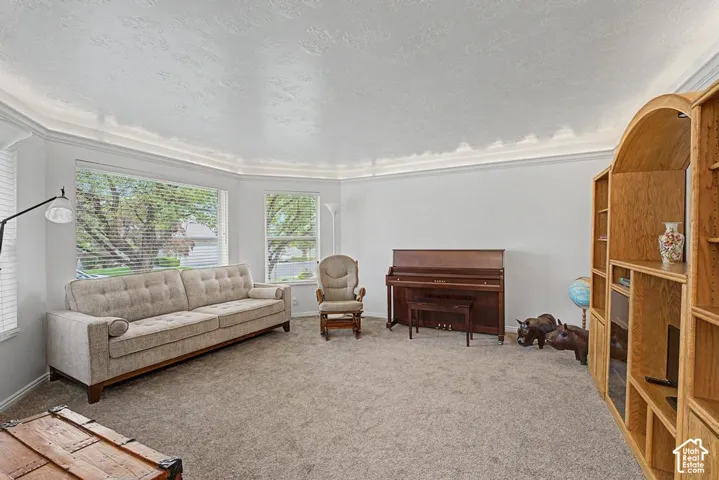 Bay window with blinds, light-colored carpet, and crown molding.