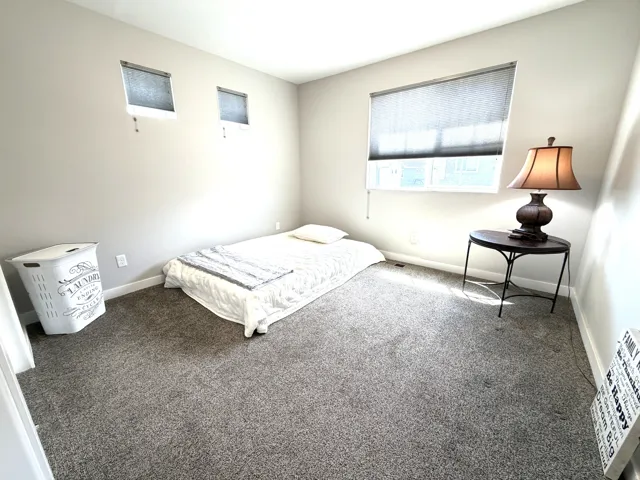Plush carpet flooring, neutral wall tones, multiple windows with roller shades, and a ceiling light fixture