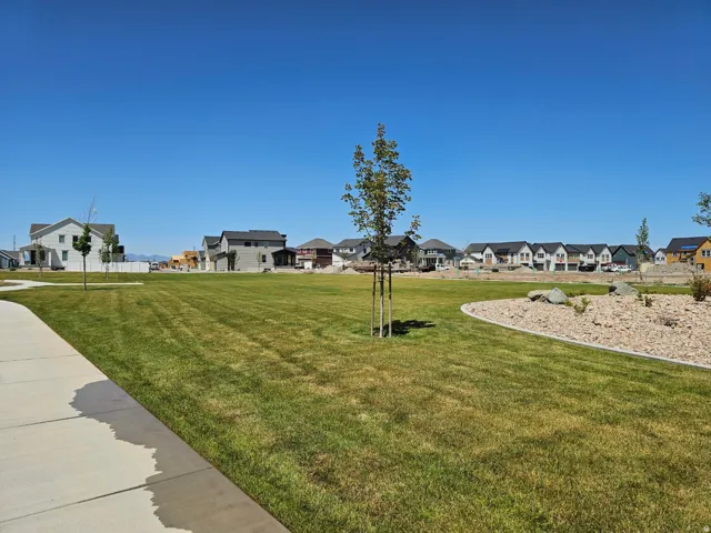 Expansive green space featuring a concrete pathway, young trees, and decorative rock landscaping