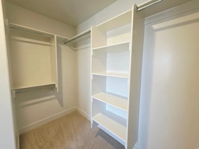Walk-in closet with carpet flooring, white built-in shelving, and multiple clothing rods