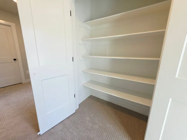 Built-in shelving with multiple levels, white panel door, and neutral-toned carpet