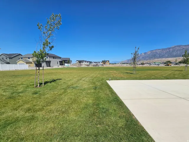 Expansive grassy area featuring a concrete pad and young trees