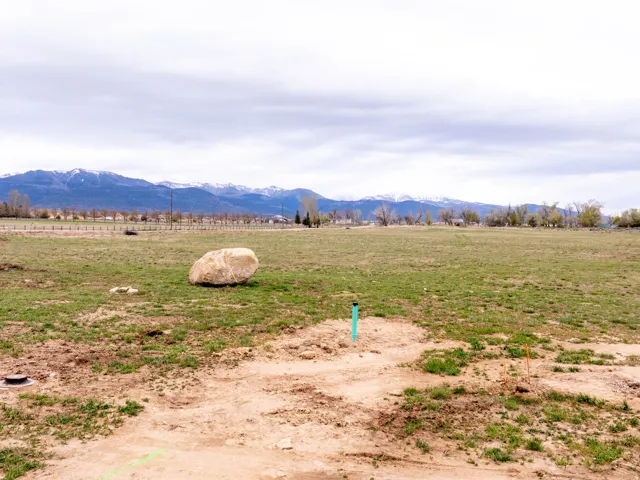 Expansive open land featuring distant snow-capped mountains