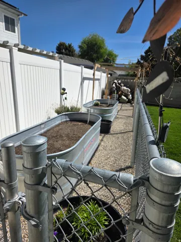 Backyard area with a chain-link fence, white privacy fence, gravel pathway, and two galvanized raised garden beds