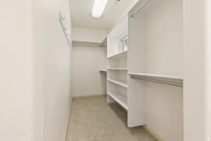 Built-in closet shelving, integrated hanging rods, and an overhead light fixture