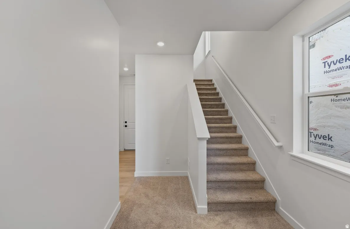 Carpeted staircase with white balustrade and handrail