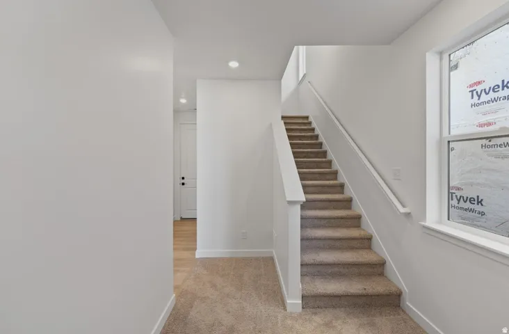 Carpeted staircase with white balustrade and handrail