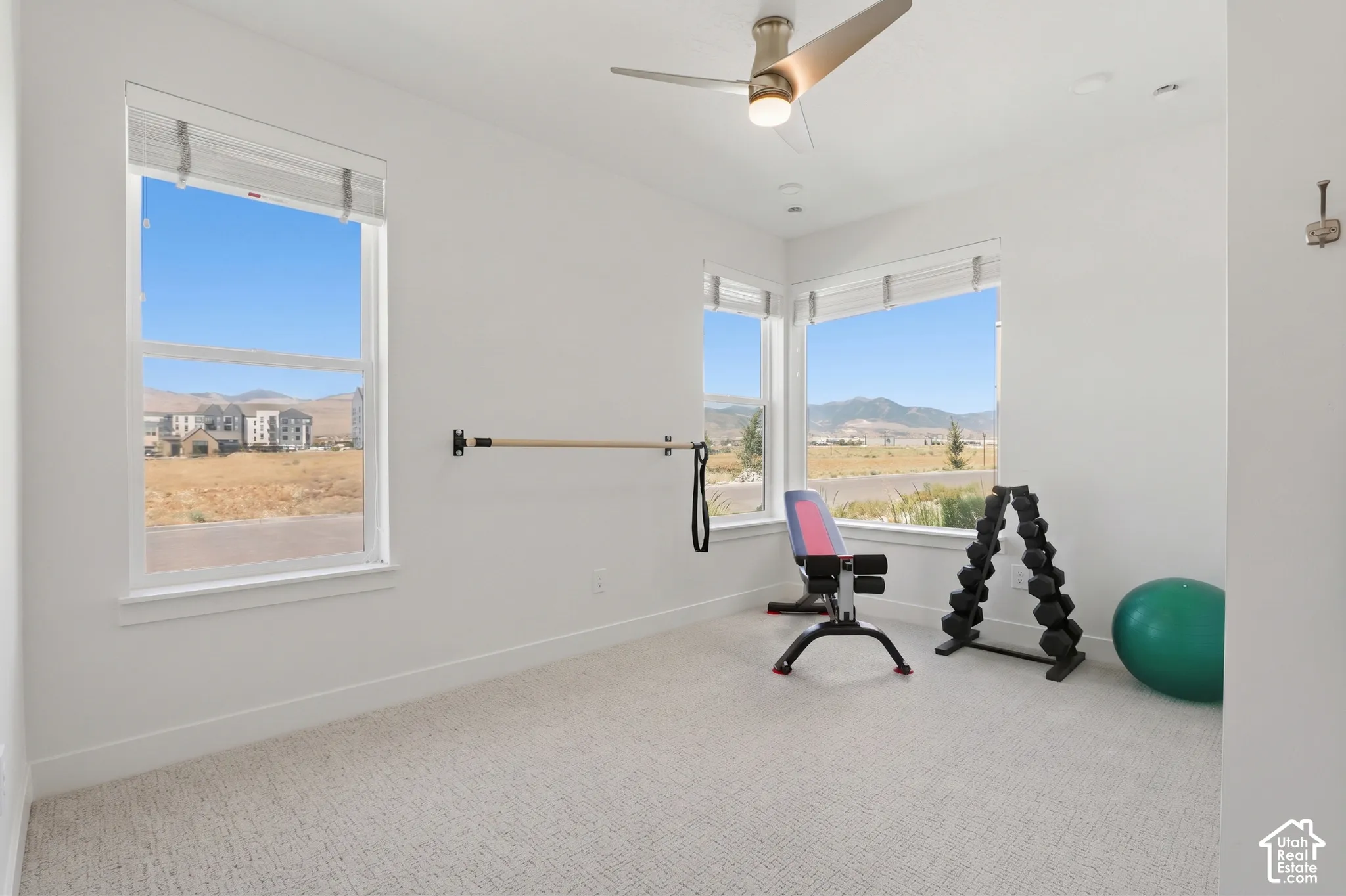 Carpeted room featuring multiple windows, a ceiling fan with integrated lighting, and a wall-mounted barre