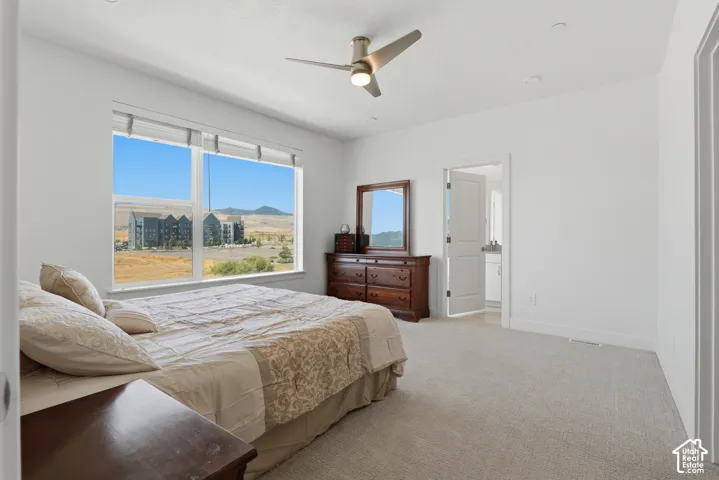 Bright room with carpet flooring, a ceiling fan, and large windows