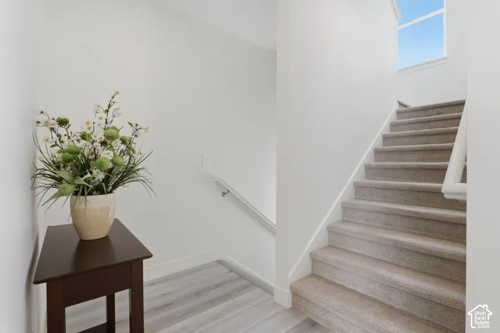 Carpeted staircase with white balustrade and handrail