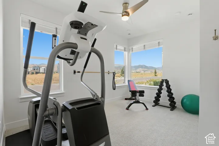 Recessed lighting, ceiling fan, multiple windows, wall-mounted ballet barre, and light-colored carpeting