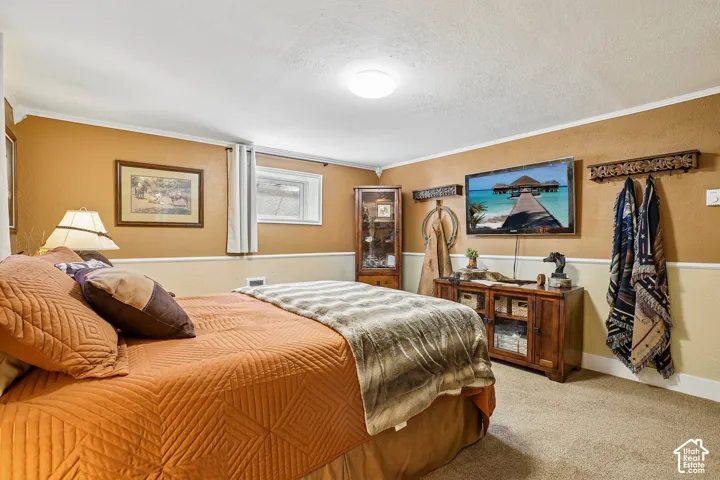 Carpeted flooring, recessed window, and a built-in wall-mounted television