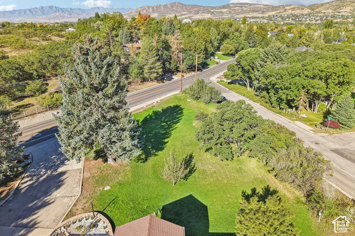 Expansive green lawn with mature trees and paved roadways