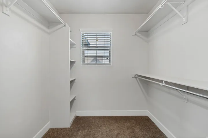 Built-in shelving, hanging rods, window with blinds, and neutral carpeting