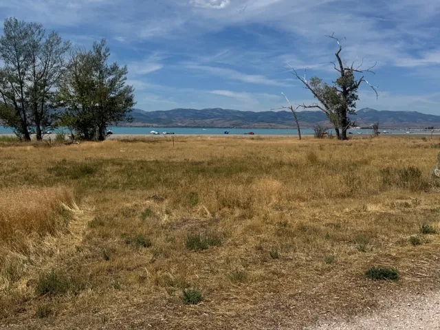 Expansive land parcel featuring natural grasses, mature trees, distant mountains, and a prominent body of water
