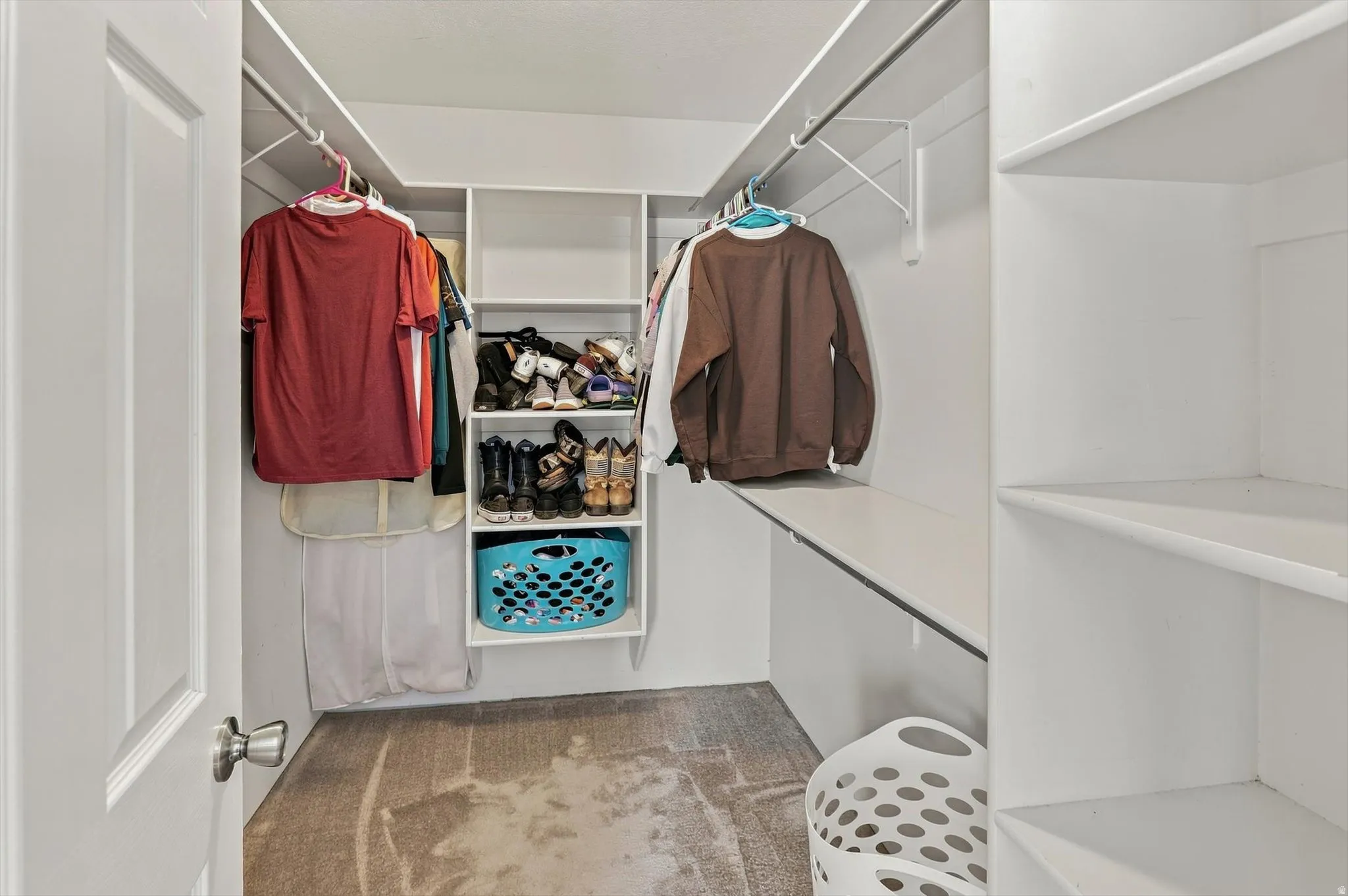 Walk-in closet featuring white built-in shelving, hanging rods, and neutral-toned carpeting
