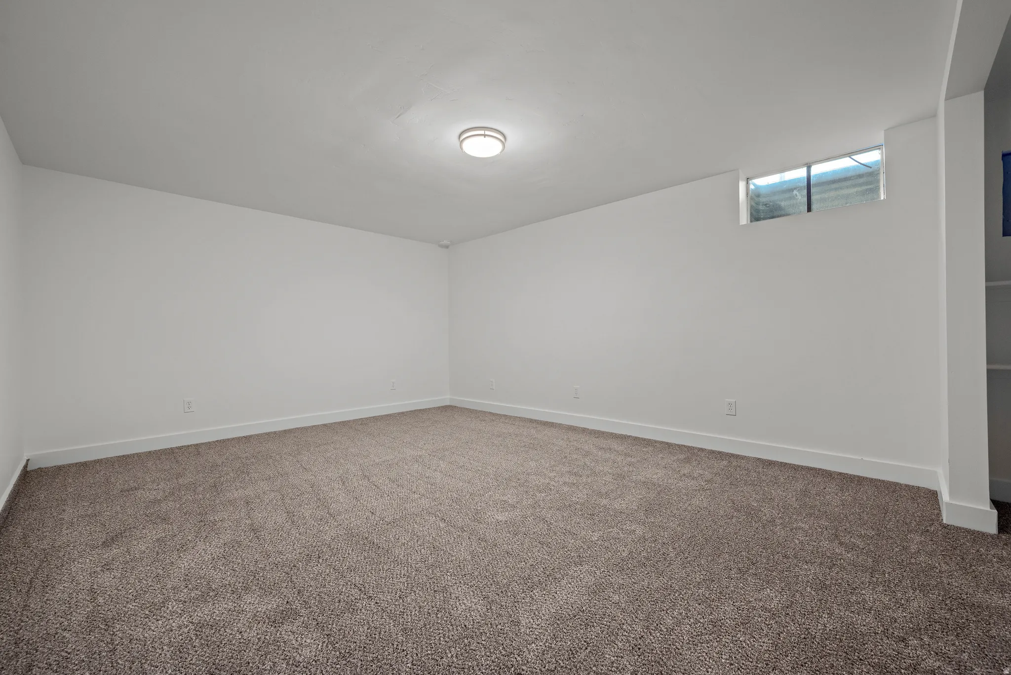 White interior walls with brown patterned carpet