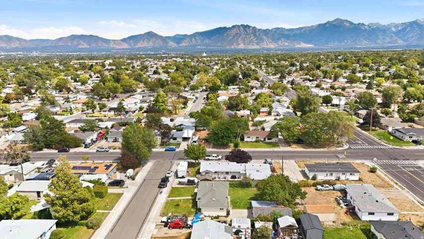 Residential neighborhood with mature tree canopy and mountain backdrop