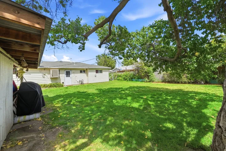 Expansive backyard featuring a manicured lawn, established shade trees, and a detached structure with a covered patio