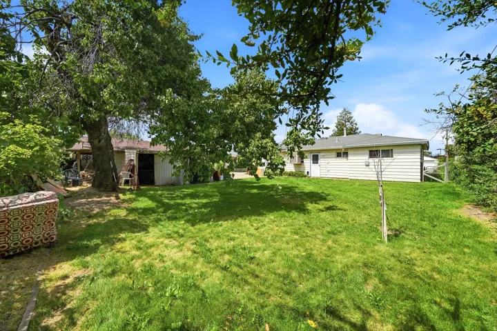 Expansive lawn area with mature trees and a detached shed
