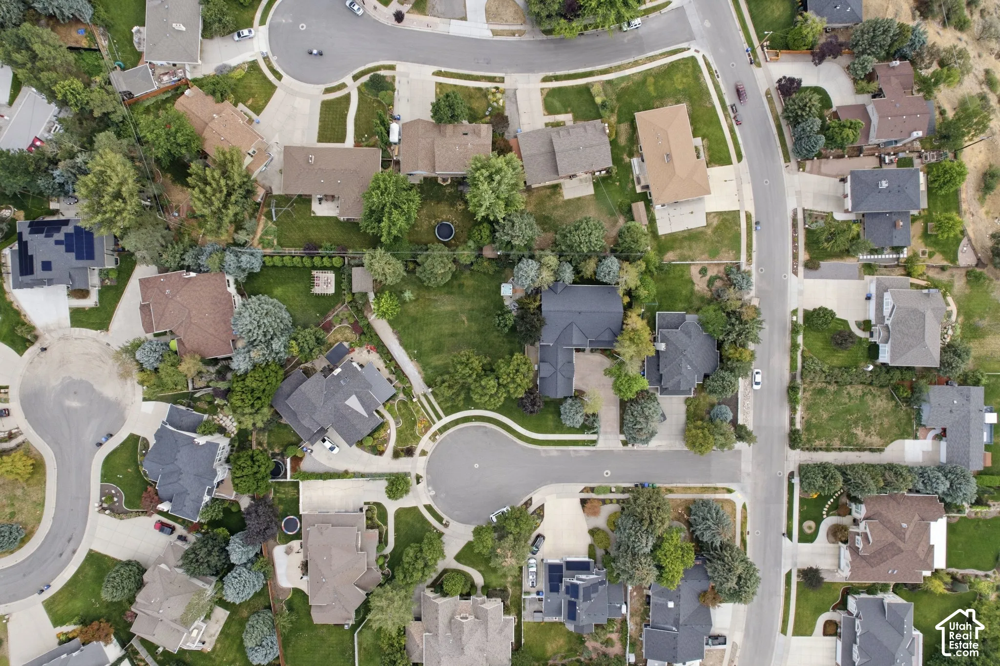 Aerial perspective showcasing multiple properties with diverse rooflines, mature landscaping, and curved streets