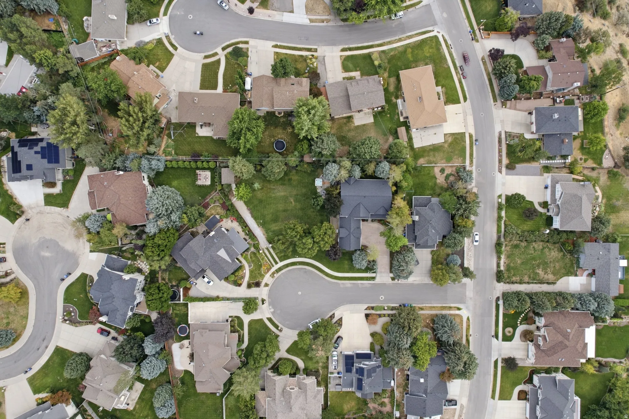Aerial perspective showcasing multiple properties with diverse rooflines, mature landscaping, and curved streets