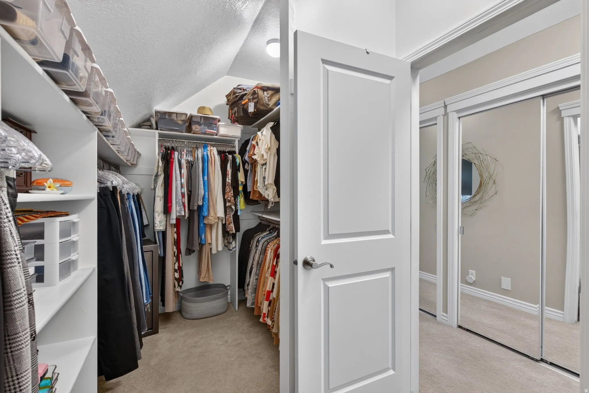 Spacious walk-in closet featuring extensive rod storage, built-in shelving throughout, neutral carpeting, and abundant natural light from dual mirrored sliding doors