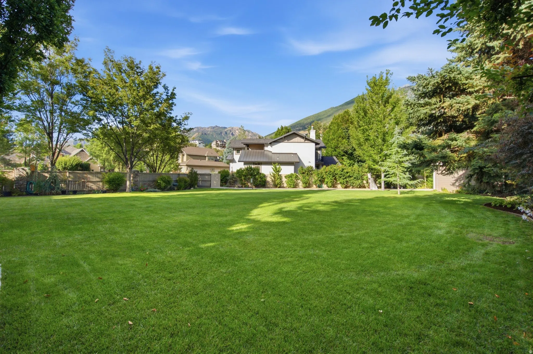 Expansive grassy yard with surrounding mature trees and foliage
