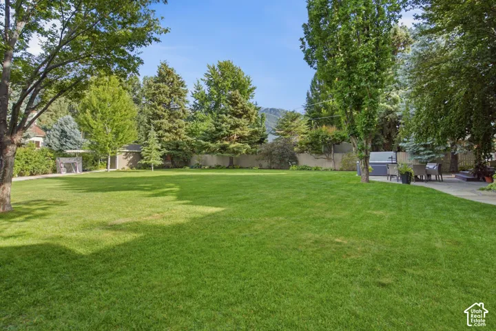 Expansive lawn with mature trees, a stone patio, and a built-in outdoor grill area