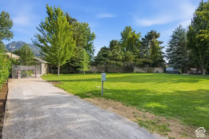 Expansive lawn bordered by mature trees and a gravel drive
