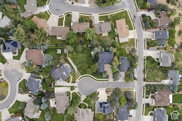Aerial perspective showcasing multiple properties with diverse rooflines, mature landscaping, and curved streets