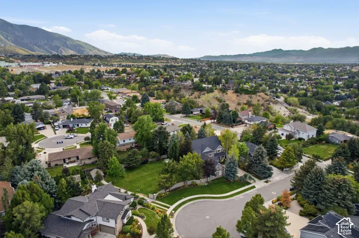 Lush, established neighborhood with mature trees and a variety of architectural styles
