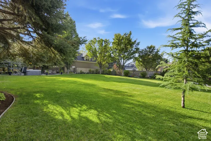 Expansive green lawn with mature trees and a dedicated patio area