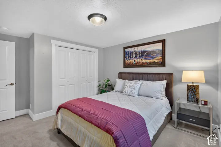Neutral gray wall paint, recessed ceiling light, white bi-fold closet doors, white trim, and gray carpet flooring