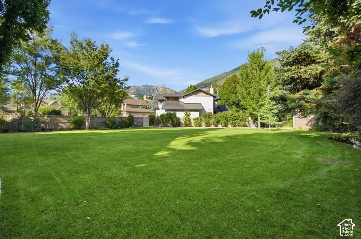 Expansive grassy yard with surrounding mature trees and foliage
