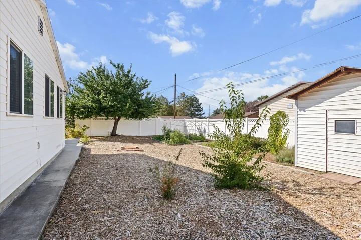Concrete walkway leading to ADU entrance, Expansive zero scape backyard featuring a mature tree, white privacy fencing, and stprage shed.