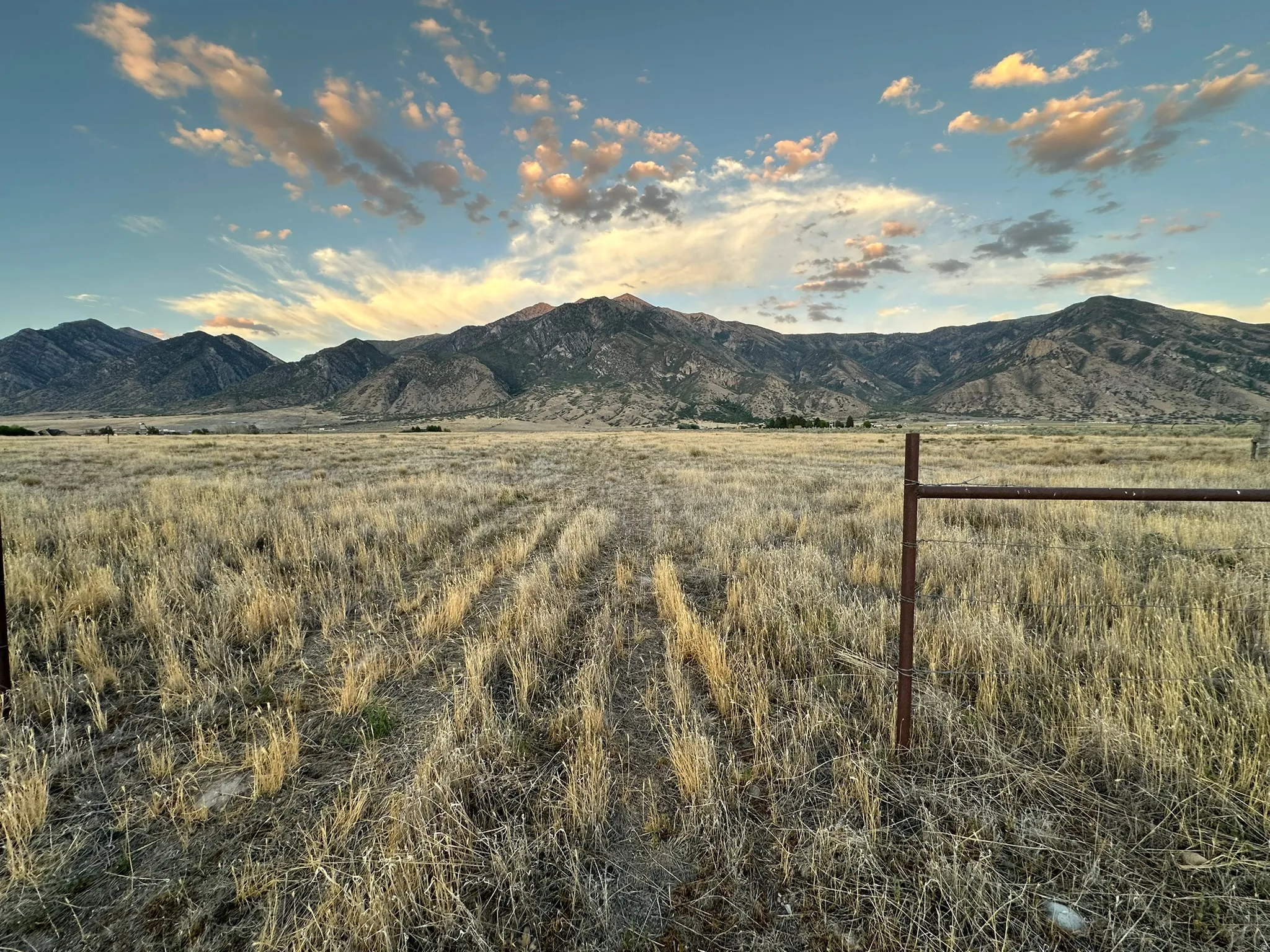 Expansive open field with natural vegetation, framed by distant mountains