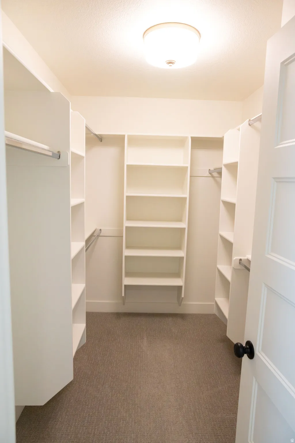 Walk-in closet featuring built-in shelving, hanging rods, and neutral-toned carpeting