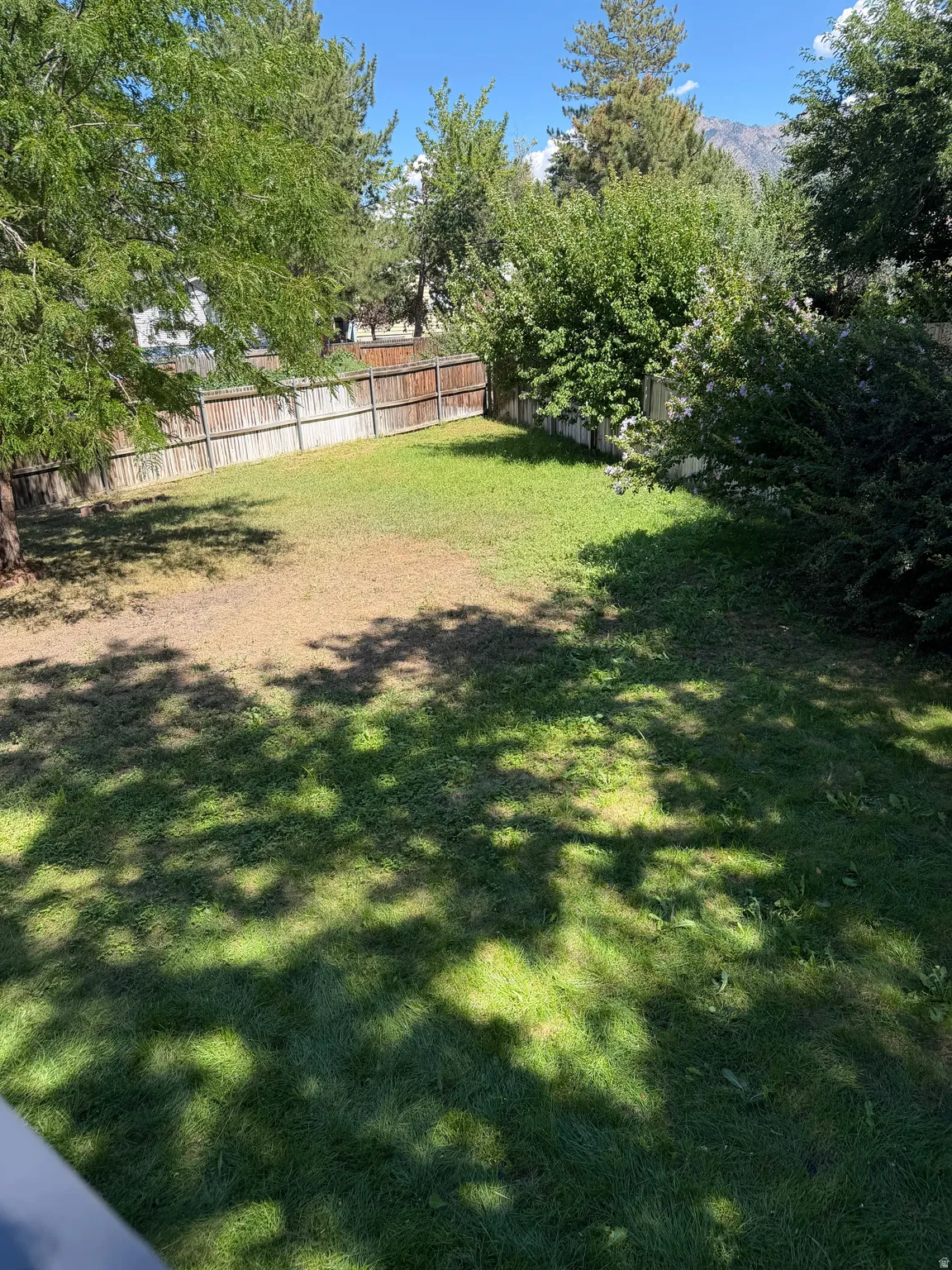 Enclosed backyard featuring a wood fence perimeter and mature trees