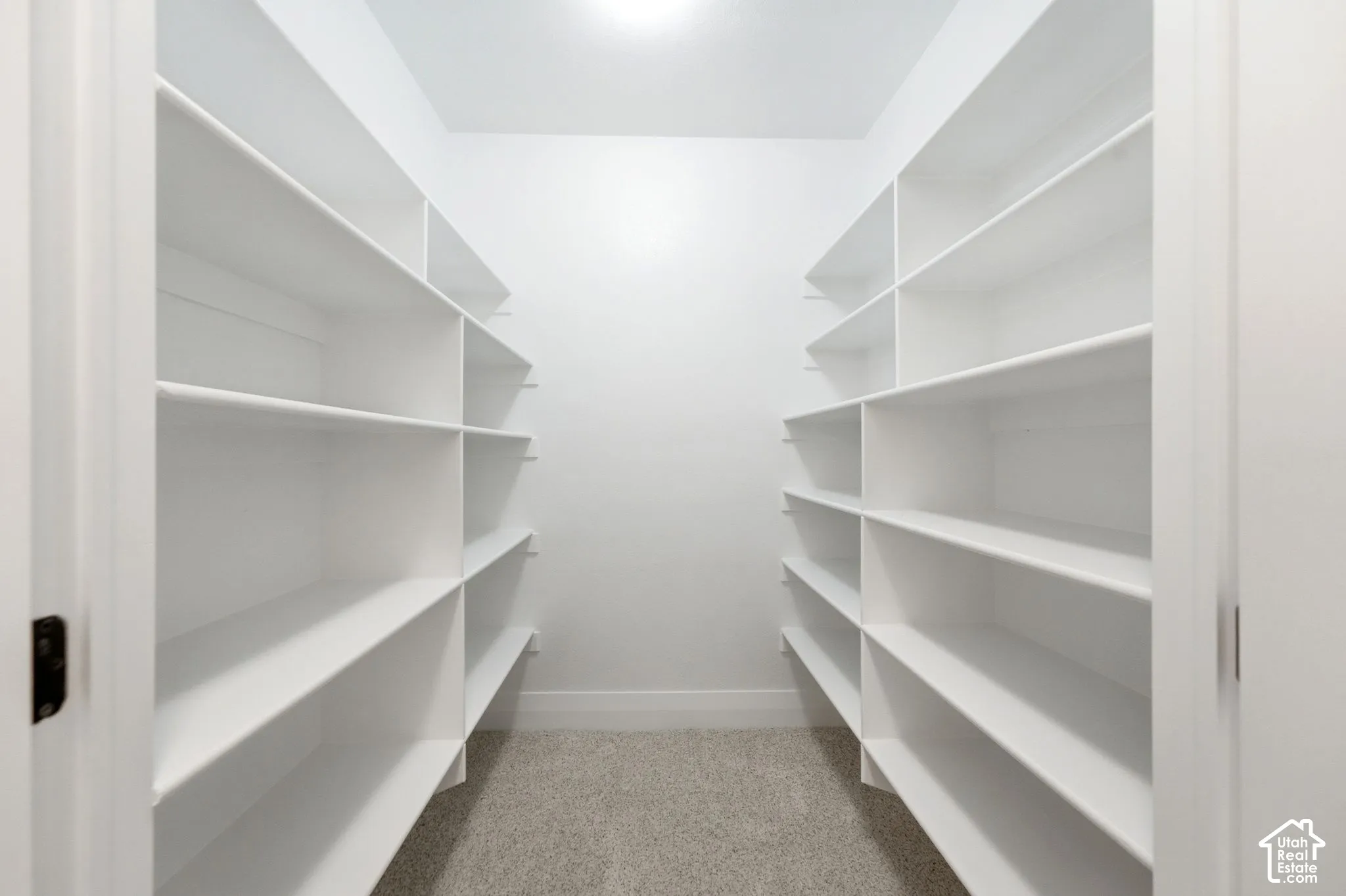Walk-in pantry featuring extensive white shelving on two walls, light-colored carpeting, and recessed overhead lighting