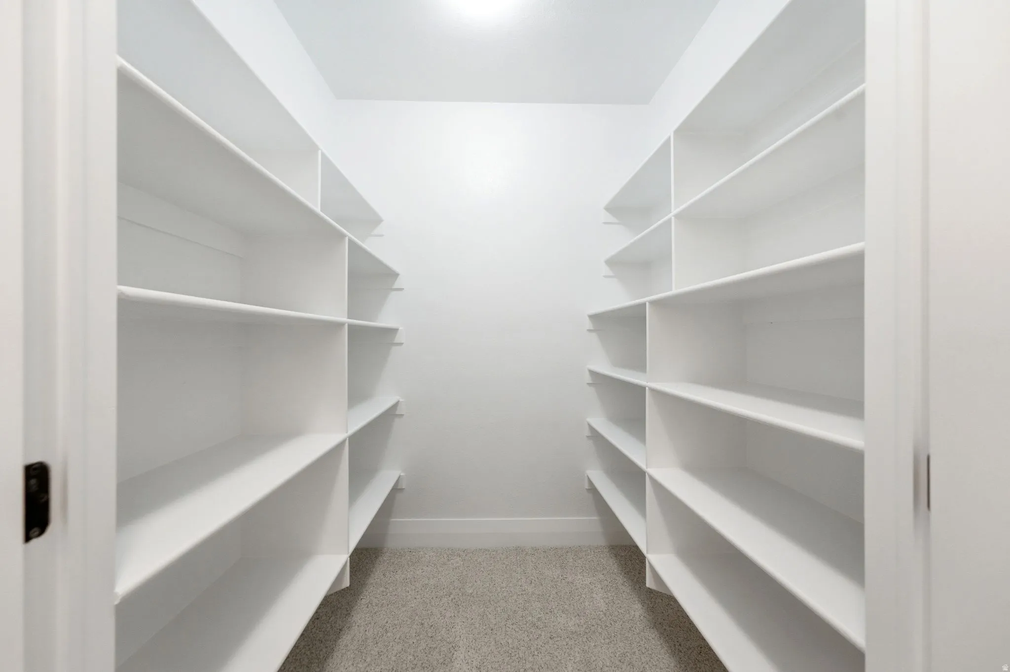 Walk-in pantry featuring extensive white shelving on two walls, light-colored carpeting, and recessed overhead lighting